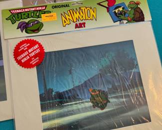 Ninja Turtles Animation Arts