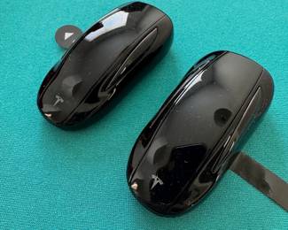 Tesla Key fobs