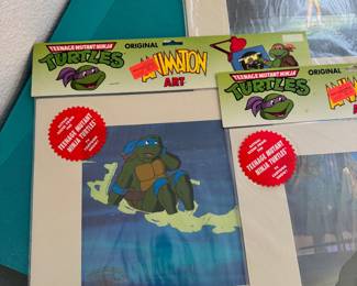 Ninja Turtles Animation Arts