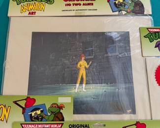 Ninja Turtles Animation Arts