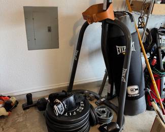 Everlast Punching Bag and Stand