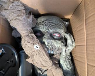 Contemplating life choices