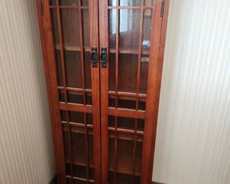 Media Storage Cabinet (very good condition)