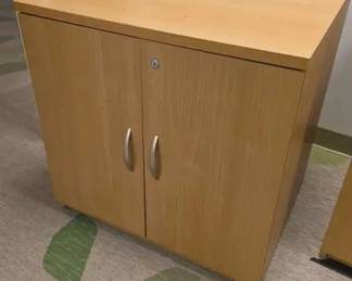 WGG017 2-Door Storage Cabinet