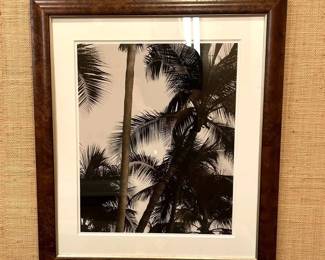 WGG300 Palm Tree Photograph In Wood Frame