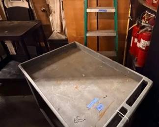 WGG439 Workshop Ladder & Cart Set