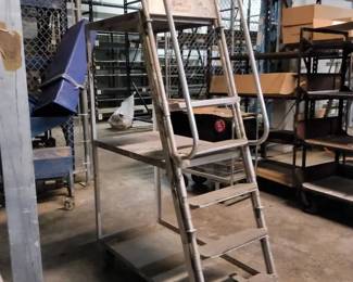 WGG429 Industrial Warehouse Stock Picking Ladder Cart,