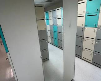 WGG381 Full Length Wall Mounted Mirror