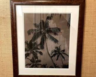 WGG306 Clouds & Palm Tree Photograph In Wood Frame