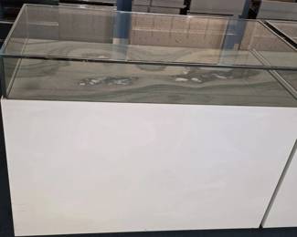 WGG288 Elegant Glass and Marble Display Case