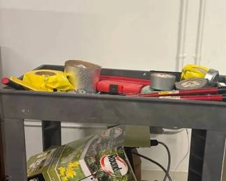 WGG597 Mystery Lot Of Outdoor Tools And Cleaning Sprays