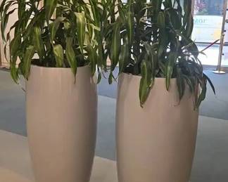 WGG237 Pair Of Potted Plants