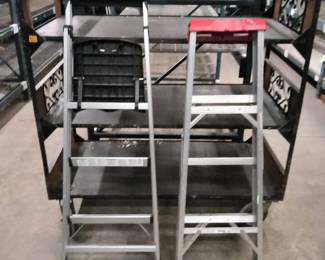 WGG493 Aluminum Ladders