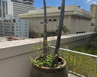 WGG206 Very Large Ceramic Plant Pot