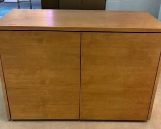 WGG291 Wooden Cabinet