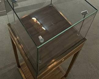 WGG220 Modern Pedestal Display Showcase