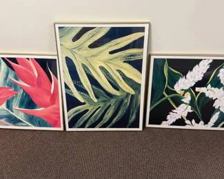 WGG752 Set of Three Framed Floral Prints