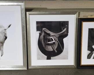 WGG509 Horse Themed Photos (3)