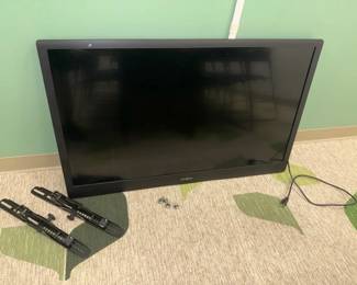 WGG009 Insignia TV with Wall Mount
