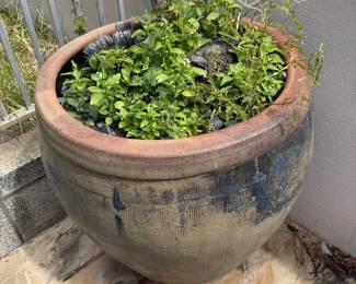 WGG205 Very Large Ceramic Plant Pot