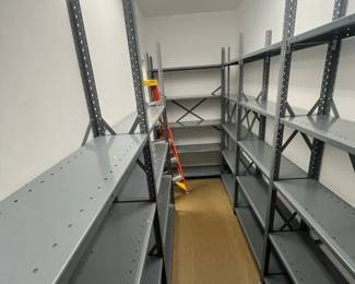 WGG681 Metal Storage Shelves With 6ft Ladder