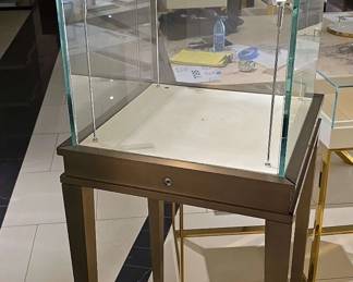 WGG118 Glass Display Case