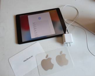 Apple I pad A2428 (2020) Factory cleared and reset at Best Buy