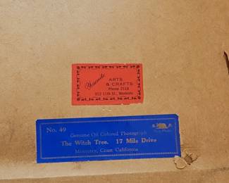 Genuine Oil Colored Photograph - The Witch Tree, 17 Mile Drive