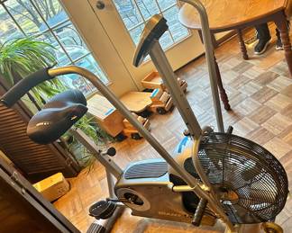 Giant Dual Fit  indoor cycle $150 model: 40730943