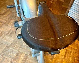 Giant Dual Fit  indoor cycle $150 model: 40730943