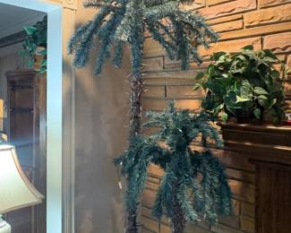 . . . fun, fun, fun -- palm trees