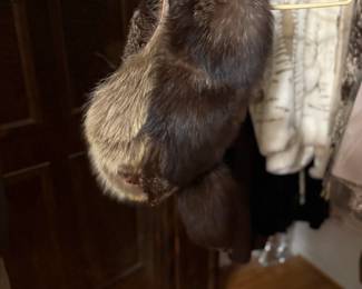 . . . and fur collar