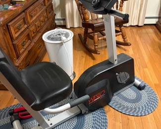 . . . recumbent bike and rugs