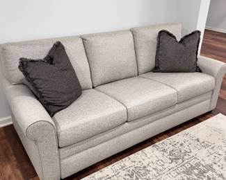 Super clean sleeper sofa