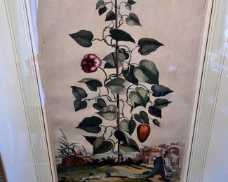 One of three nicely framed botanicals