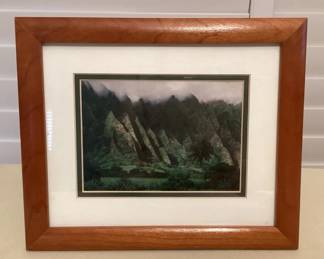 MMC103 Framed Gary Reed Scenic Picture