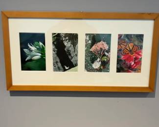 Framed Nature Photography Collage