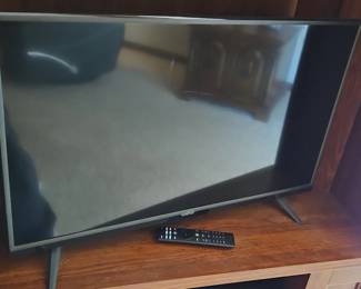 Vizio Flat Screen Television
