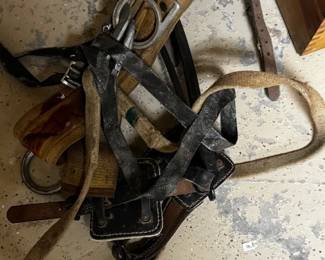 Tree Climbing/Safety Harness