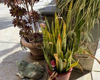 Plants, copper frogs