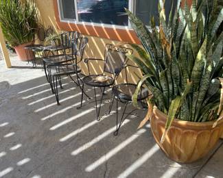 Plants and patio furniture 