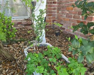 Yard are, stairs, pots, and planters