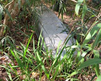 Lurking in the shrubbery is a car topper