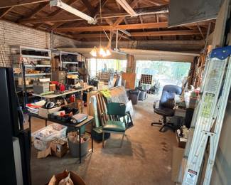 Several aluminum ladders. The super tall extension one is hiding in the bushes;)