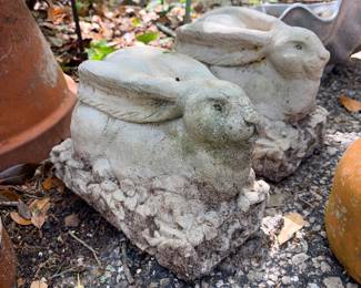 These bunnies need a new home for Easter!