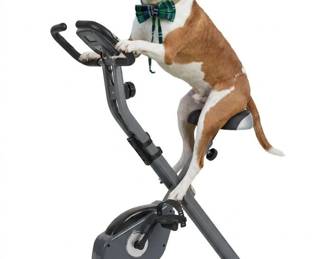 90 SongmicsMagneticResistanceFoldingExerciseBike