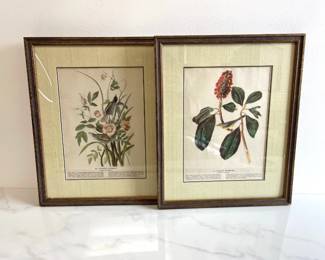 Lot 1018  Vintage Audubon Bird Botanical Art Prints  Canada Warbler Seaside Sparrow