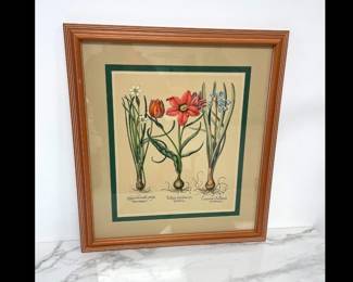 Lot 5109  Botanical Art Print