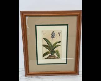 Lot 5107  Botanical Art Print