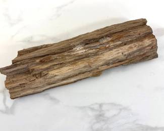 Lot 767  Natural Curiosity Petrified Wood
